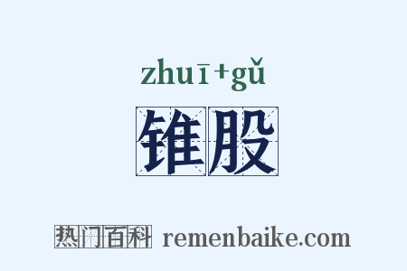 锥股是什么意思的图片